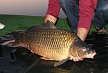 pescuit_crap_518432_30