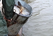 pescuit_crap_875887_55