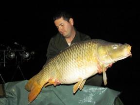 Cupa Boilies 2013