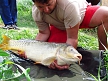 pescuit_crap_110875_36