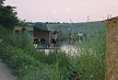 pescuit_crap_115396_20