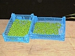 pescuit_crap_14698_50