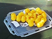 pescuit_crap_158493_50