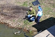 pescuit_crap_183947_52