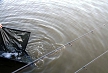 pescuit_crap_190087_46