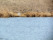 pescuit_crap_192141_49