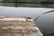pescuit_crap_287315_19