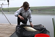 pescuit_crap_321743_19