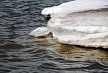 pescuit_crap_328425_28