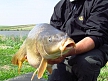 pescuit_crap_329253_35