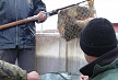 pescuit_crap_330488_55
