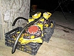 pescuit_crap_337379_50