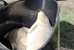 pescuit_crap_342358_53