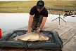 pescuit_crap_36468_18