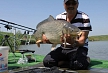 pescuit_crap_393091_18