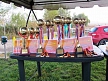pescuit_crap_410524_50
