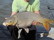 pescuit_crap_413052_22