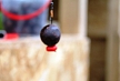 pescuit_crap_450514_19