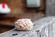 pescuit_crap_457303_51