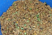 pescuit_crap_46000_20