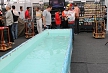 pescuit_crap_466102_24