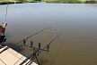 pescuit_crap_468384_20