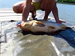 pescuit_crap_470729_41