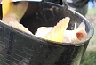 pescuit_crap_501120_53