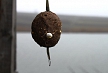 pescuit_crap_520919_51