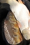 pescuit_crap_525695_53