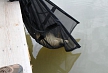 pescuit_crap_530711_19