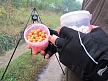 pescuit_crap_530805_50