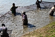 pescuit_crap_548278_53