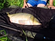 pescuit_crap_561652_42