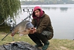 pescuit_crap_569416_25