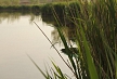 pescuit_crap_590115_34
