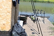 pescuit_crap_594407_20