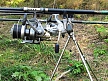 pescuit_crap_598314_50