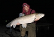 pescuit_crap_635987_25