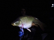 pescuit_crap_683184_39