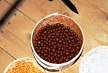 pescuit_crap_688705_15