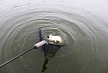 pescuit_crap_691096_51
