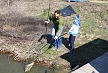pescuit_crap_695212_52
