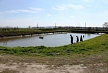 pescuit_crap_696599_53