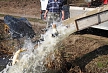 pescuit_crap_704989_53
