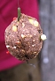 pescuit_crap_705142_51