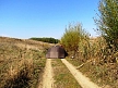 pescuit_crap_712024_50