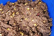 pescuit_crap_728718_51