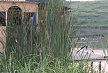pescuit_crap_780522_20