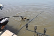 pescuit_crap_784065_20